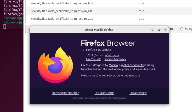 Mozilla Firefox 132, Sertifika sıkıştırması ve hızlandırılmış SVG filtre temelleri ile çıktı 1.Resim