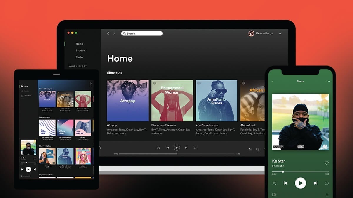 Business Model Examples Spotify