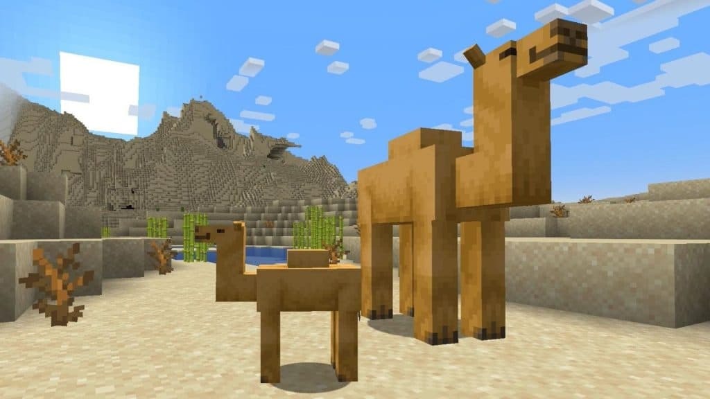 Minecraft Camels tame and breed