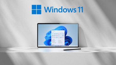 Windows 11 KB5029339